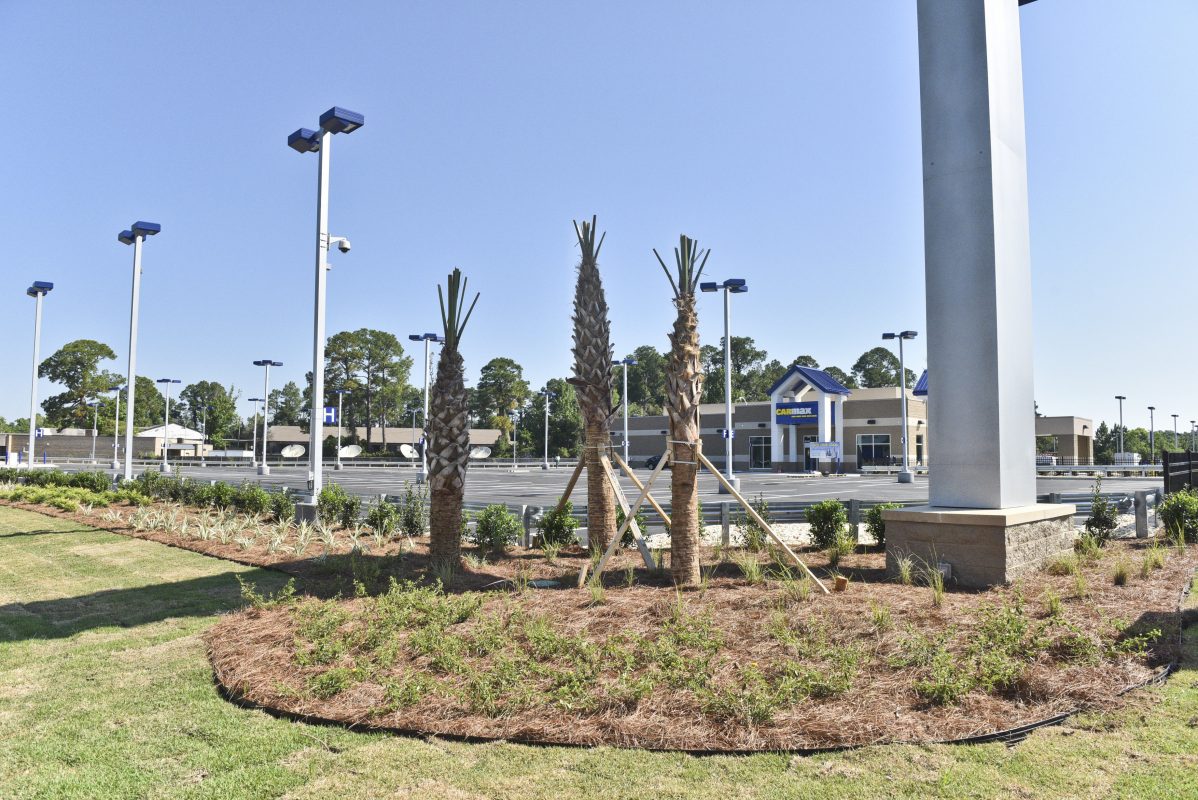 Carmax Mobile Landscaping Service