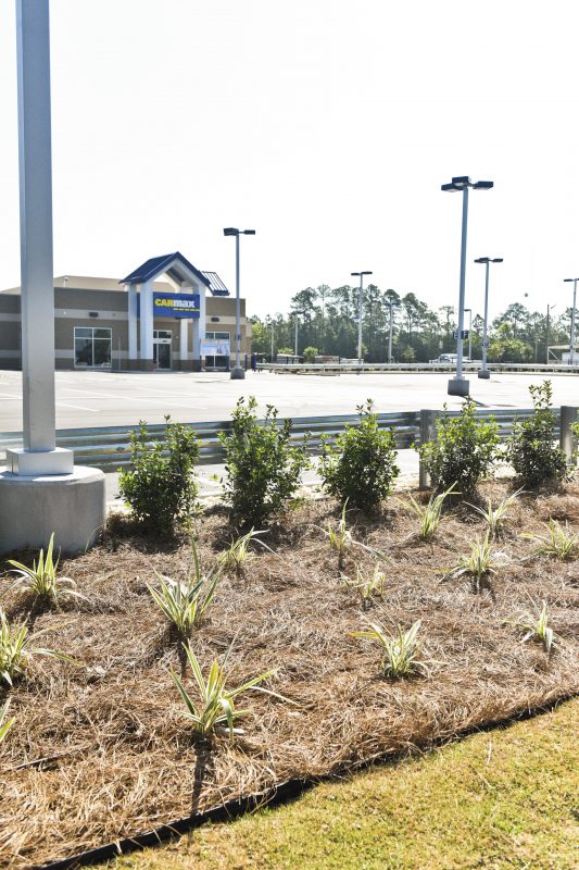 Carmax Mobile Landscaping Service